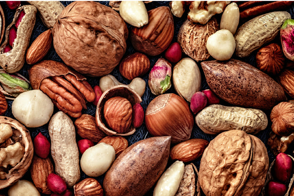 Top 7 Foods and Nutrients That Support Your Immune System