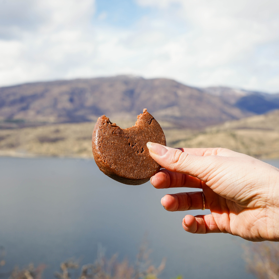 Double Chocolate 12-pack