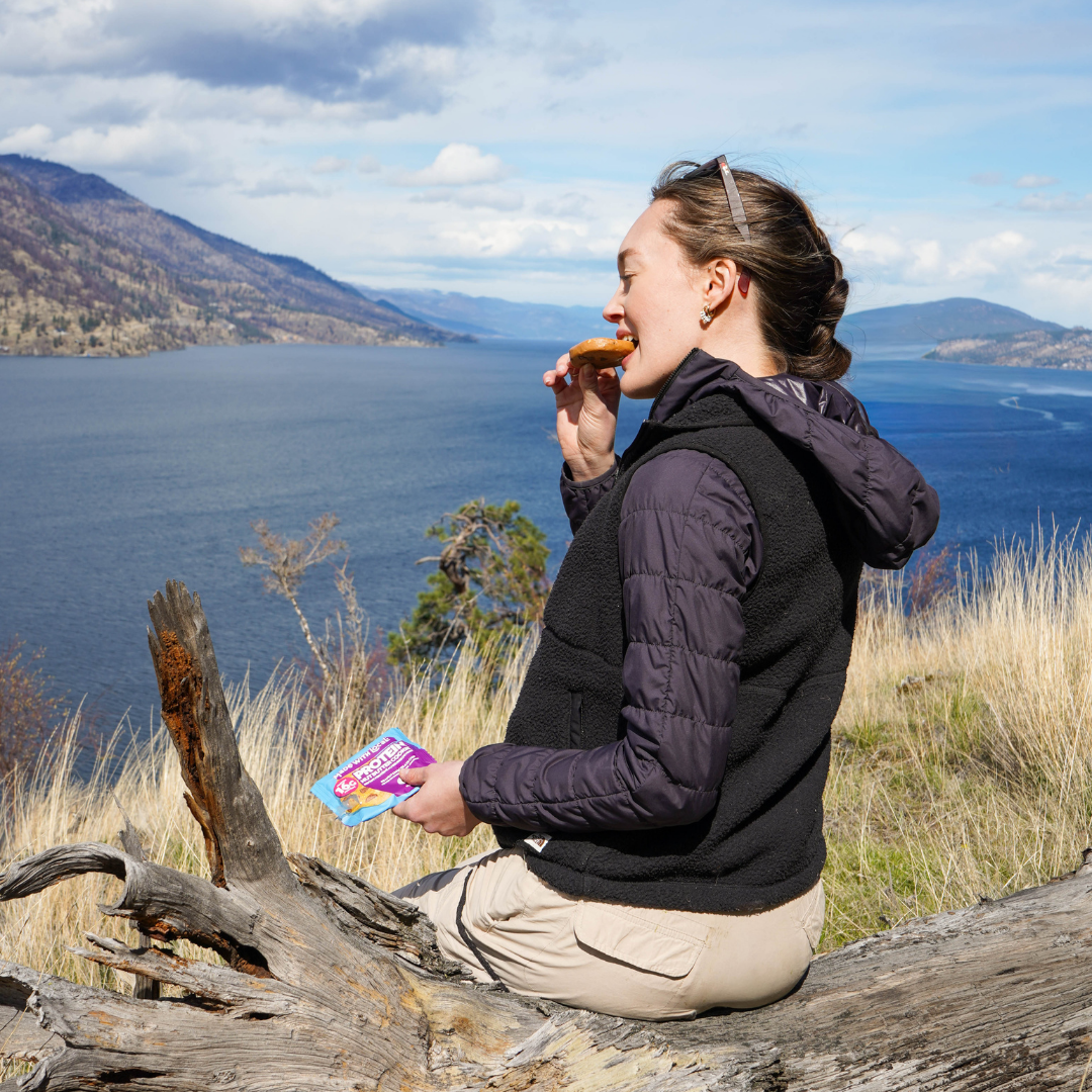 Peanut Chocolate Chip 12-pack