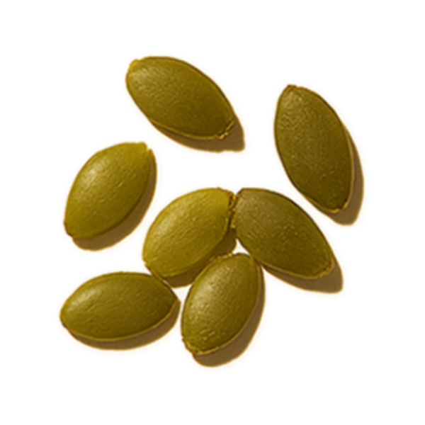 Pumpkin Seeds