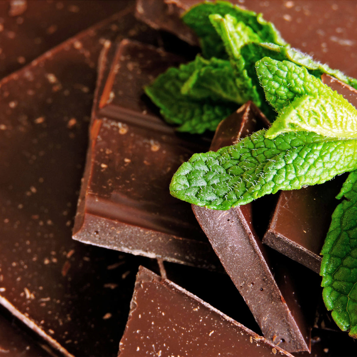 MINT CHOCOLATE CHIP